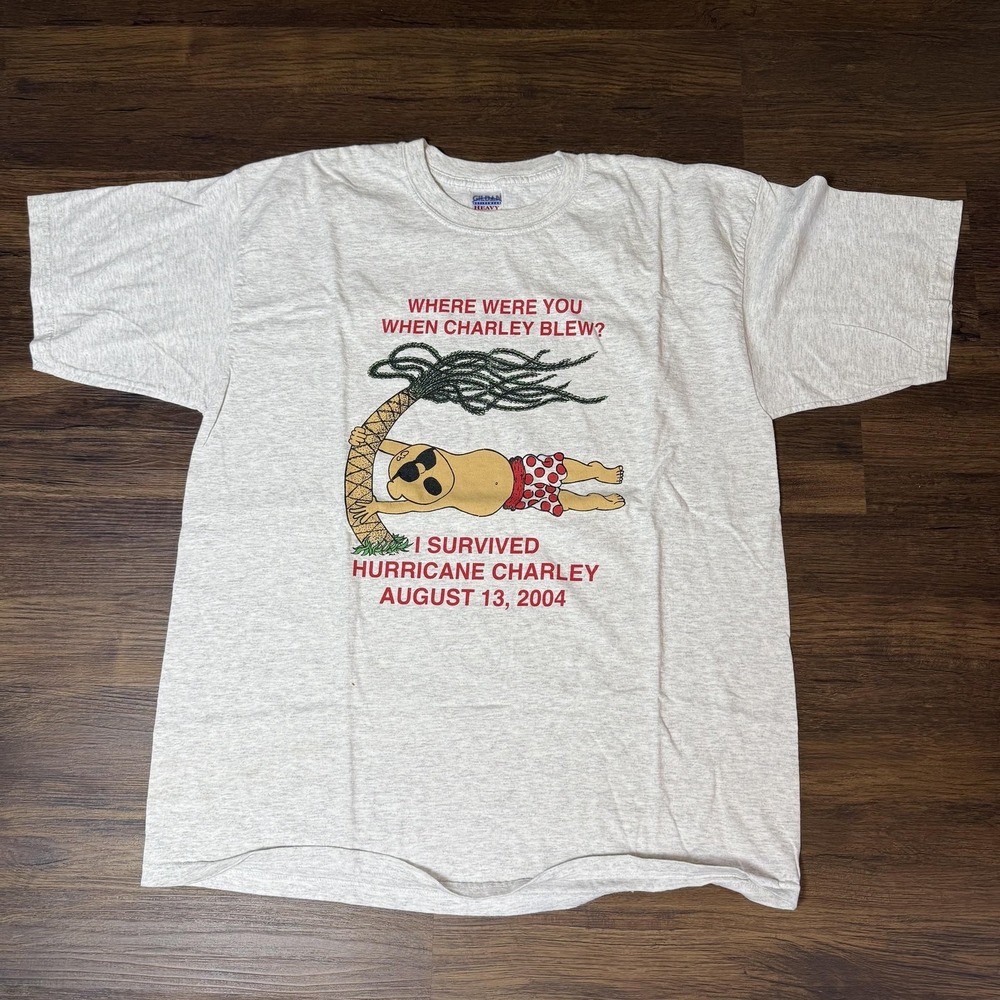 Vintage Hurricane Charley Shirt Mens XL Gray I Survived 2004 Disaster Tee‎ 00s